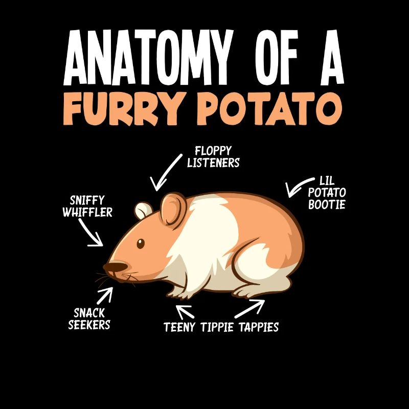 Drôle de cadeau de hamster