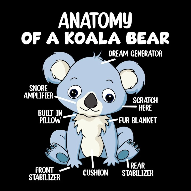 Anatomie eines Koala-Bären