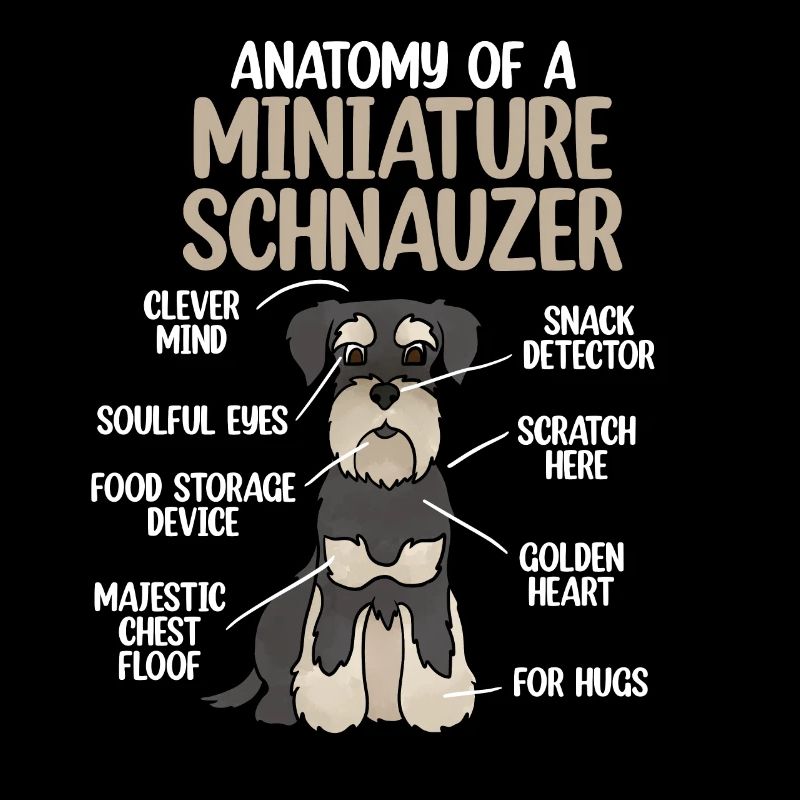 Zwergschnauzer