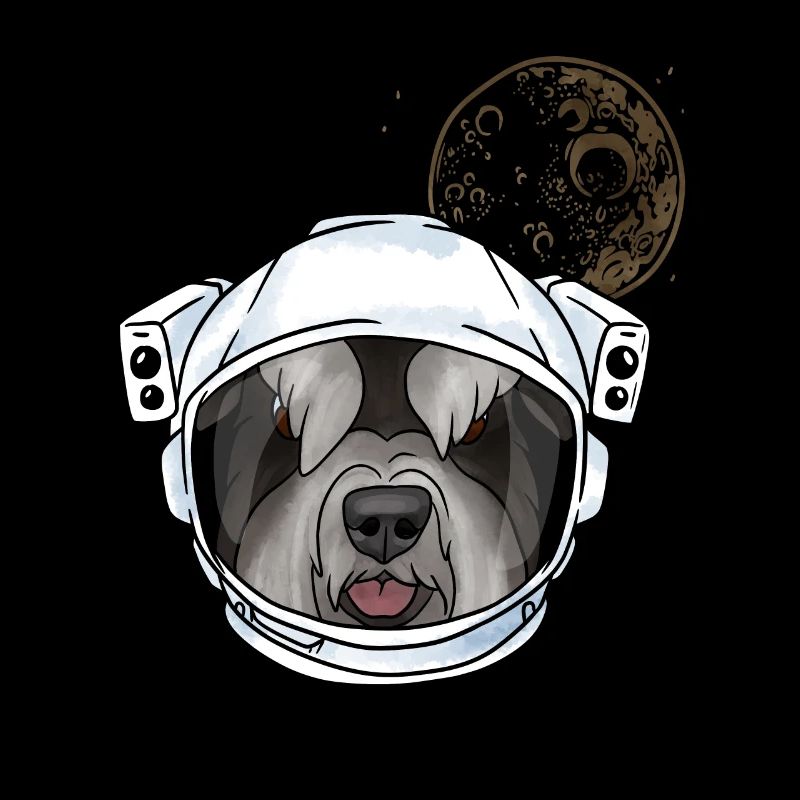 Zwergschnauzer