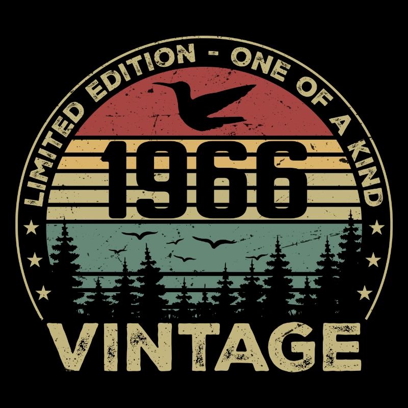 Vintage 1966 Original 1966 Retro Birthday 1966
