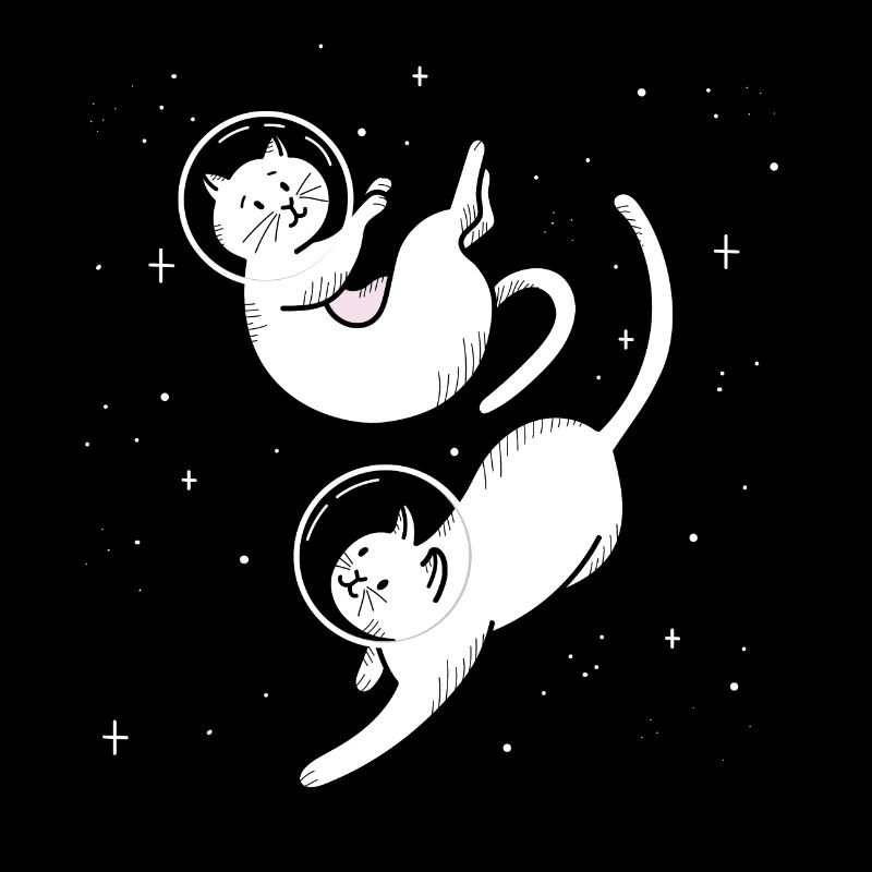 Conception de l'espace chats