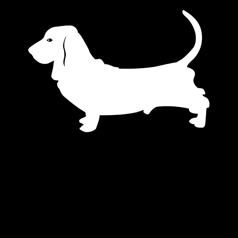 Basset Hound