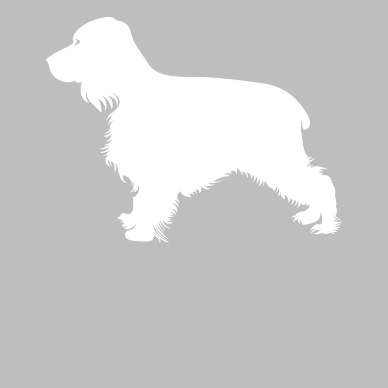 English Cocker Spaniel