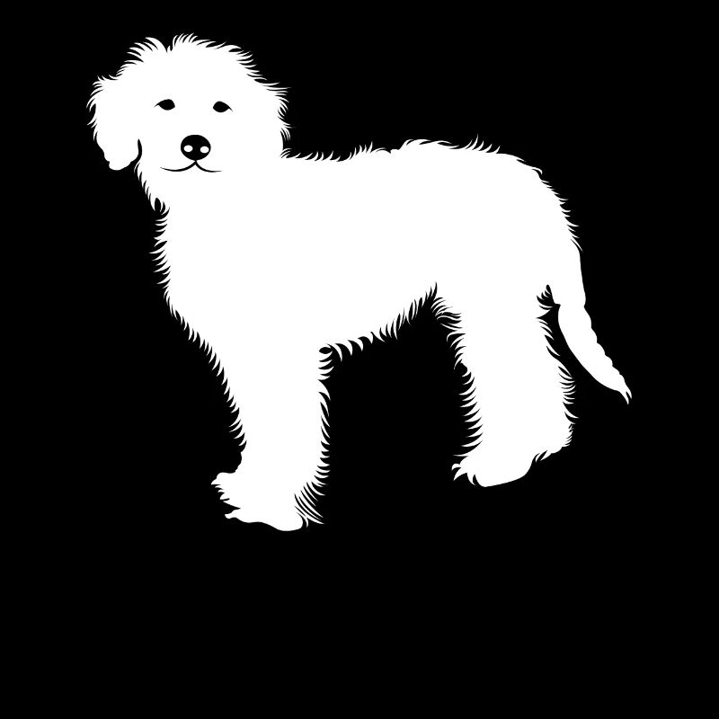 Goldendoodle
