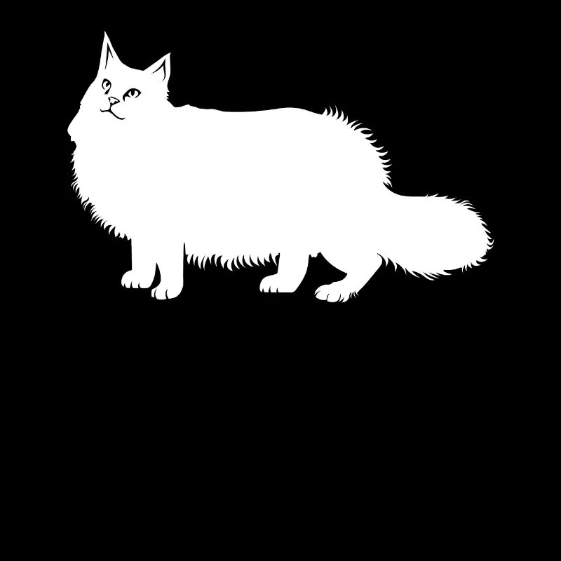 Maine Coon Katze