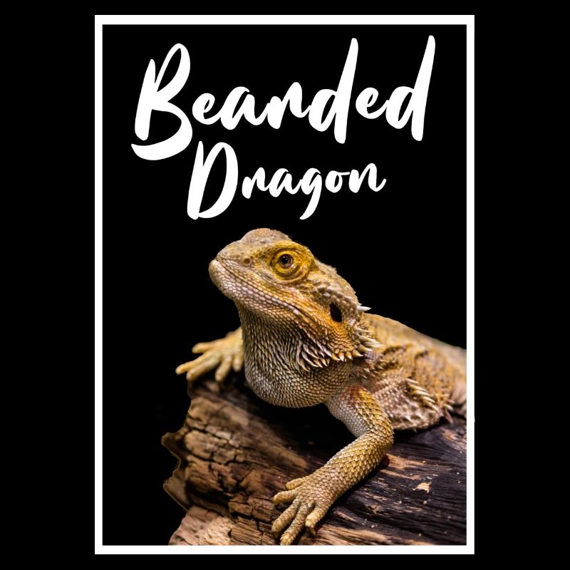 Bartagame Reptilienhalter Modern Geometric