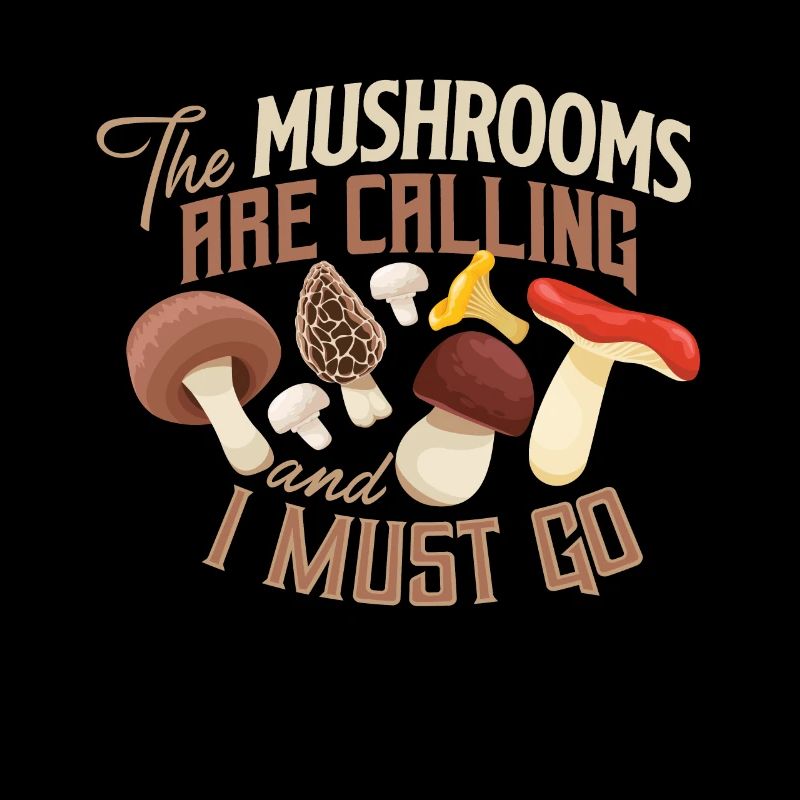 Champignons champignons champignons champignons panier champignon automne