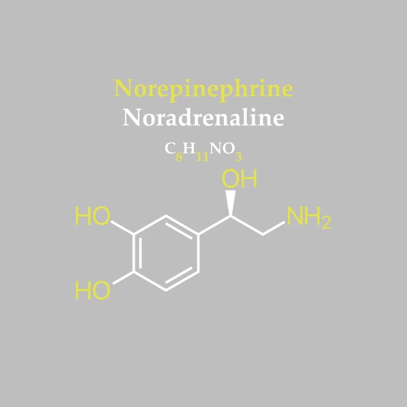 Norepinephrine Molécule