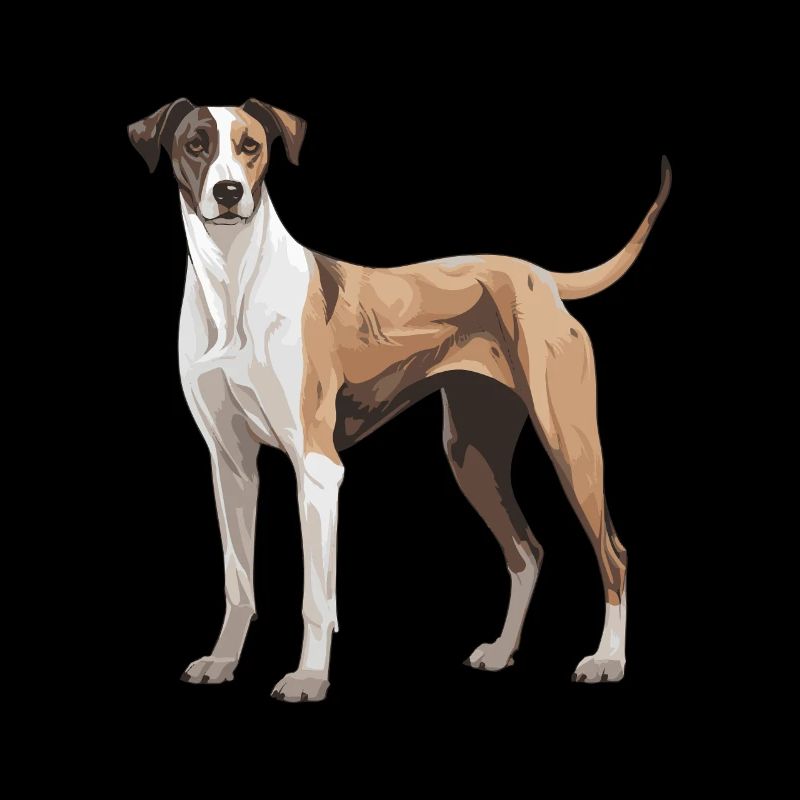 Greyhound Dog