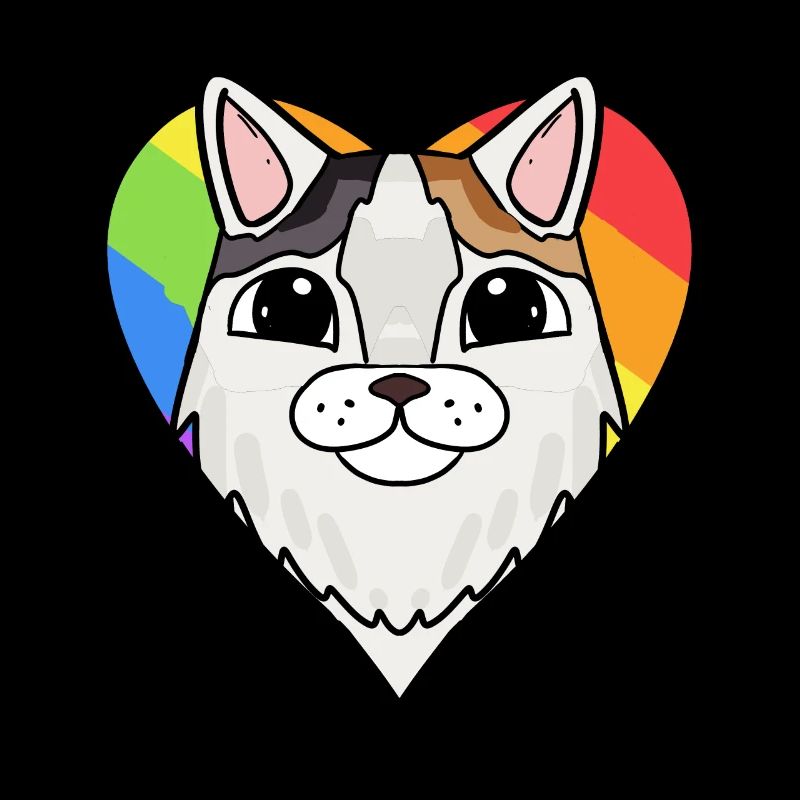 Chat LGBT Turc Van Rainbow