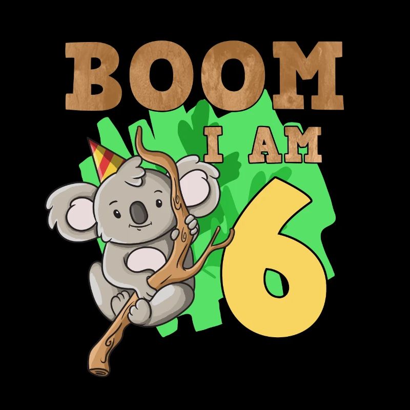 6th birthday koala