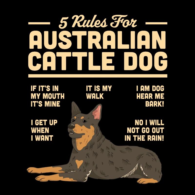 Australian Cattle Dog