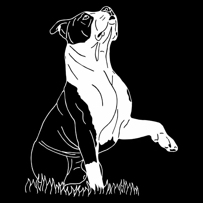 American Bully XL
