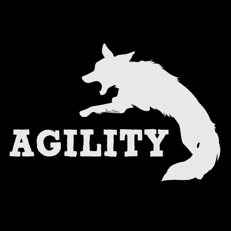 Agility Border Blanc