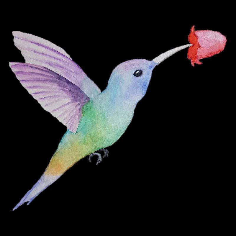humming-bird