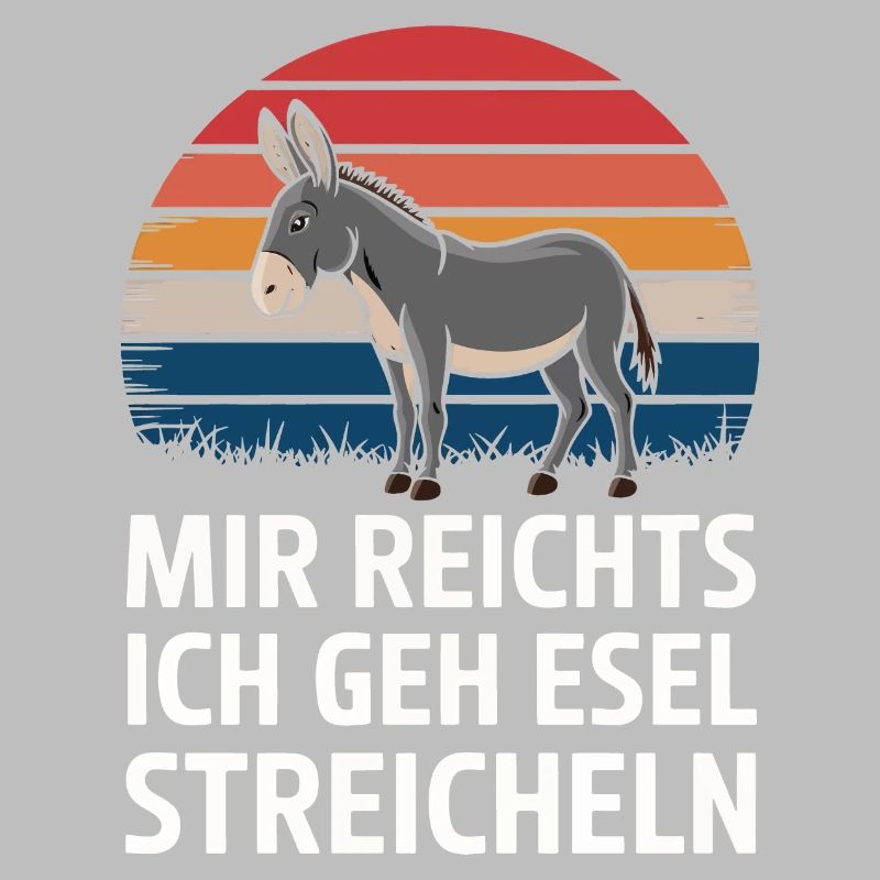 Donkey Donkey Mule Muli
