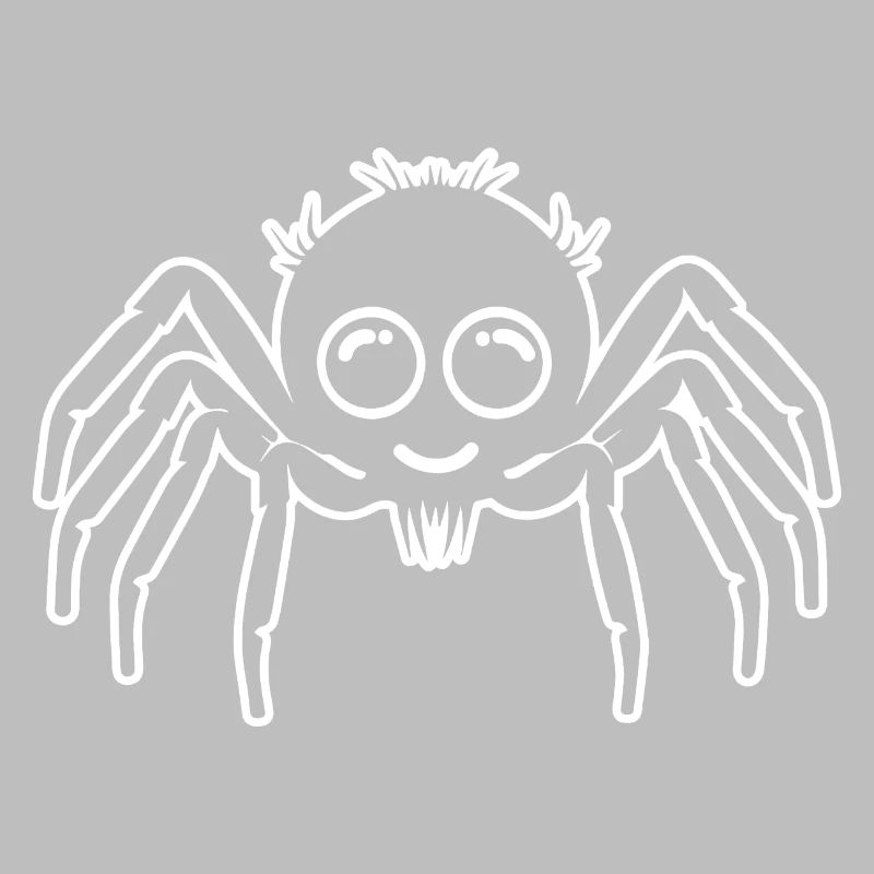 Spider spiders animals