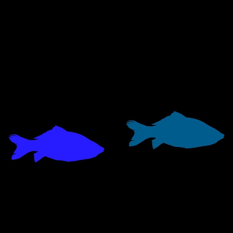 fische
