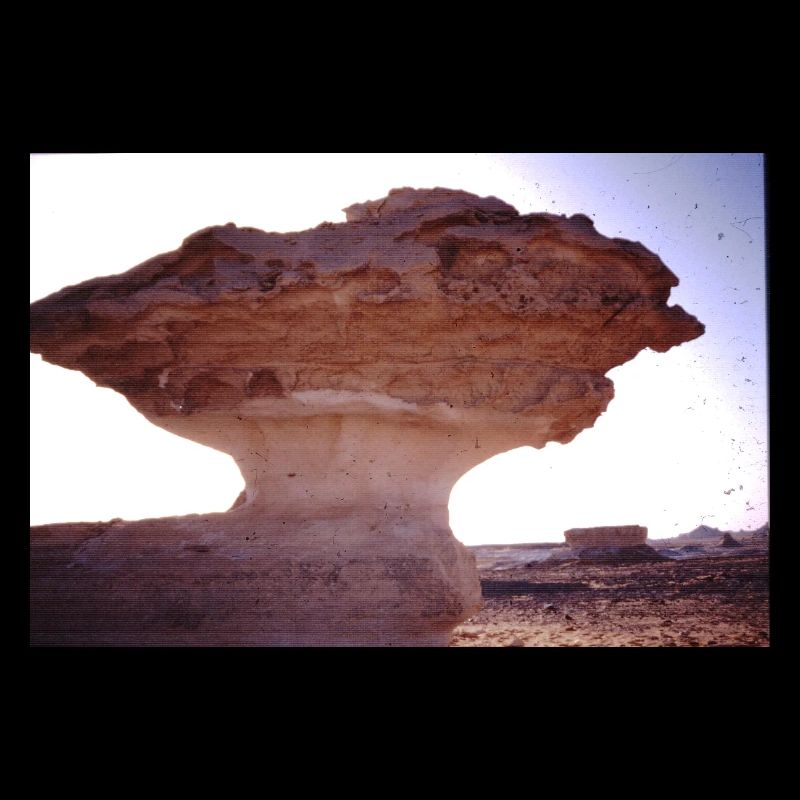 Desert