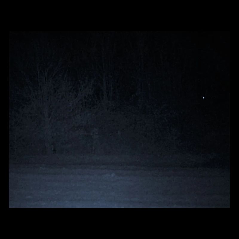 Creepy creature in the forest