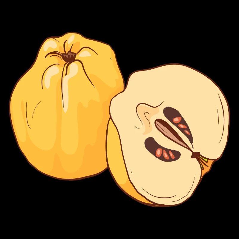 Quince Quince Apple Pear Apples Pears Core Fruit