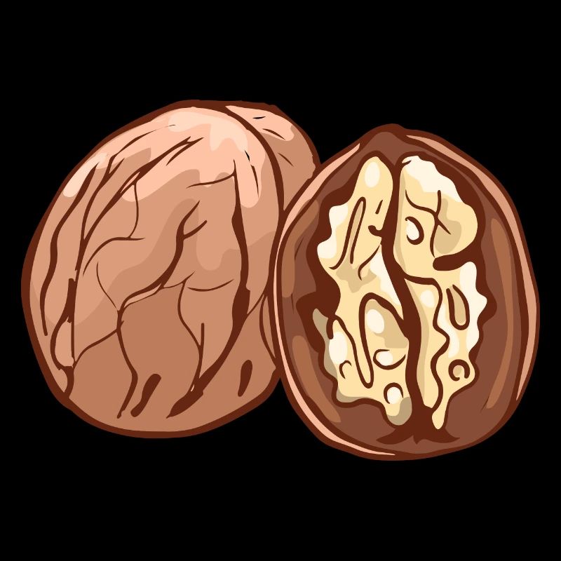 Real walnut nuts nut walnutwalnuts