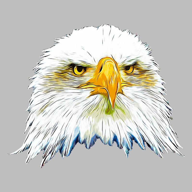 gxp eagle bald eagle vector art