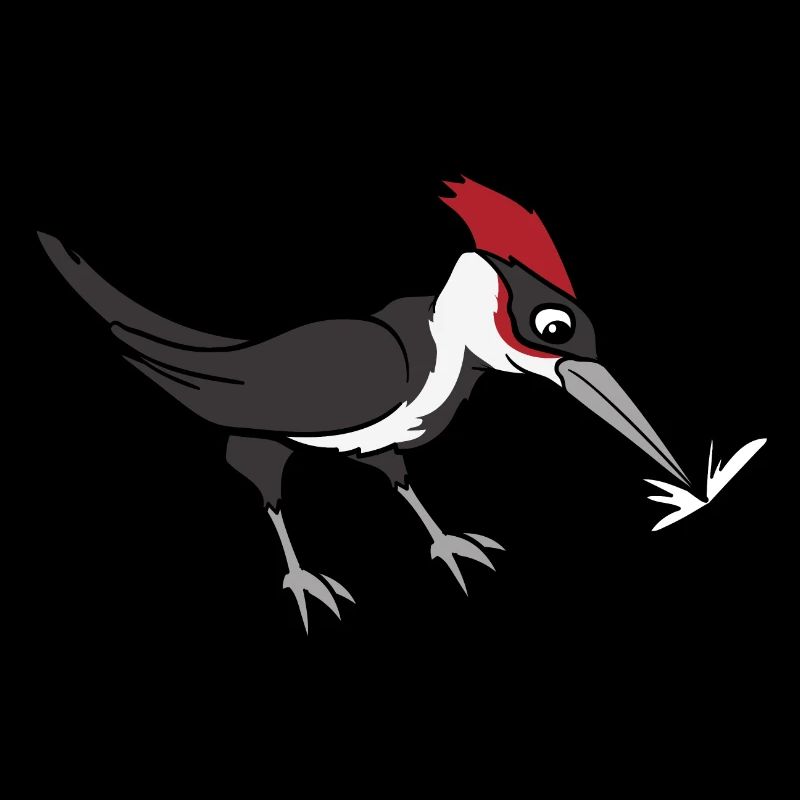 Specht Vogel Vögel