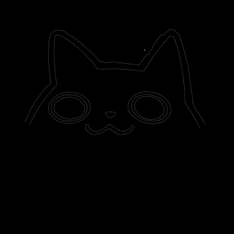 Chat miaou