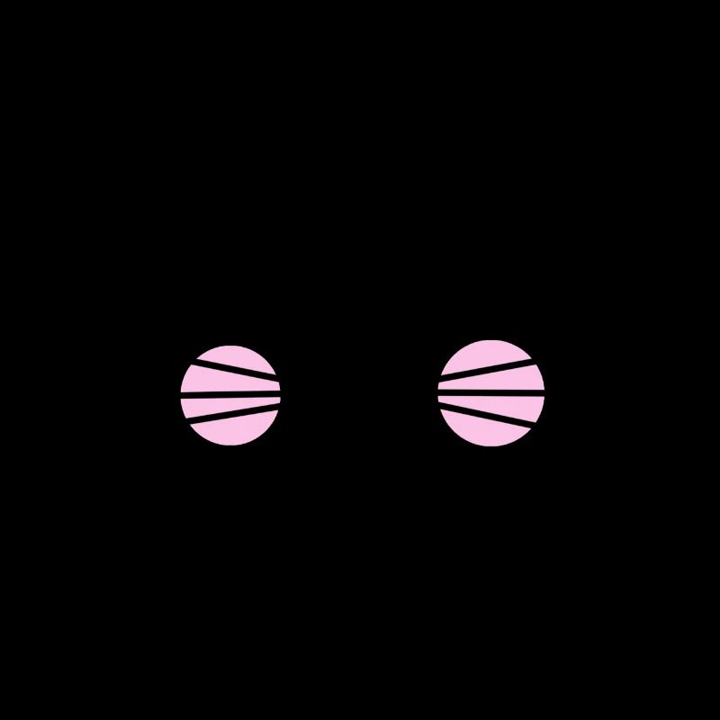 Chat chaton chaton