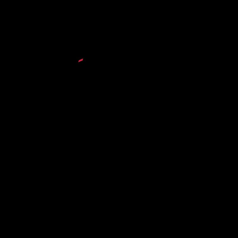 Corbeau noir