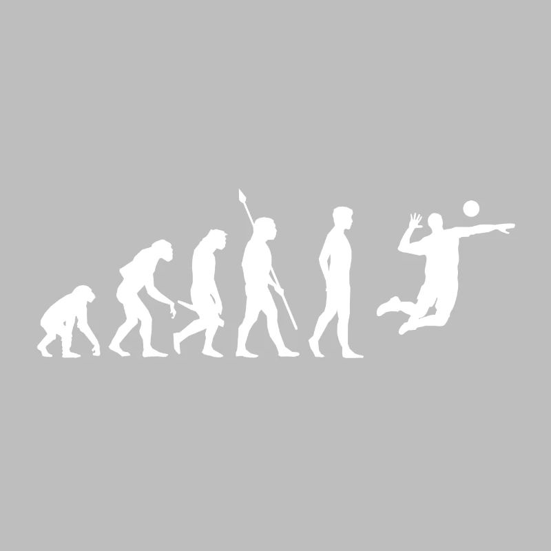 Volleyball Evolution