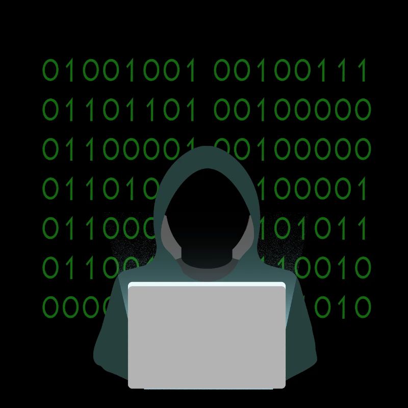pirate informatique