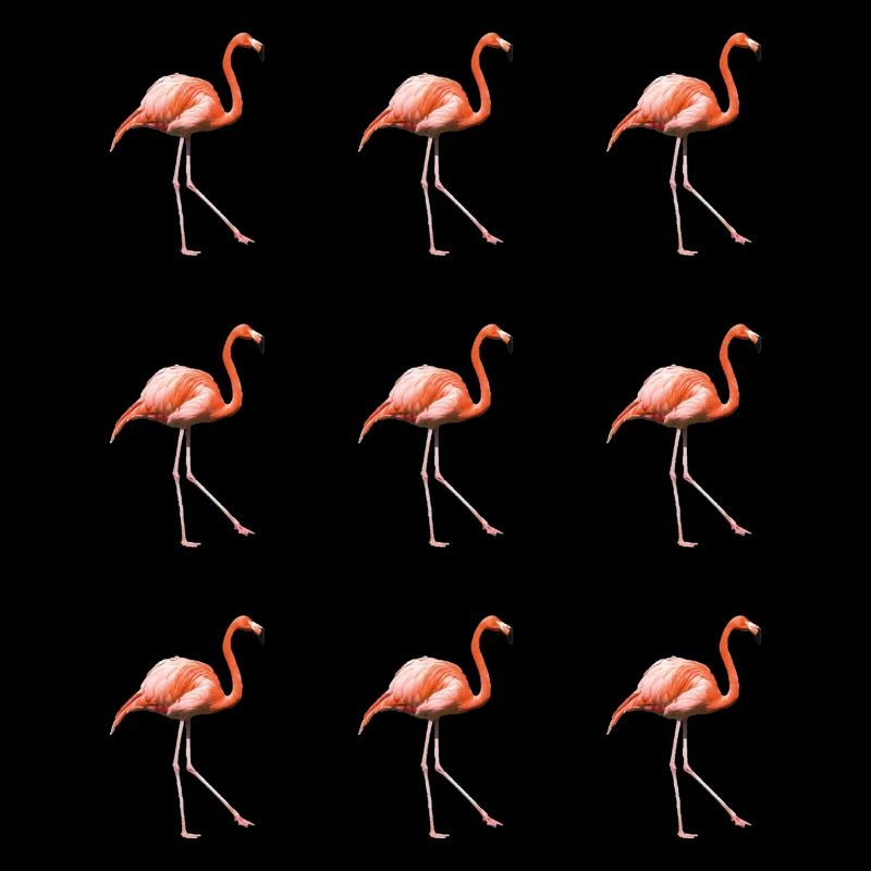 Flamingo Parade