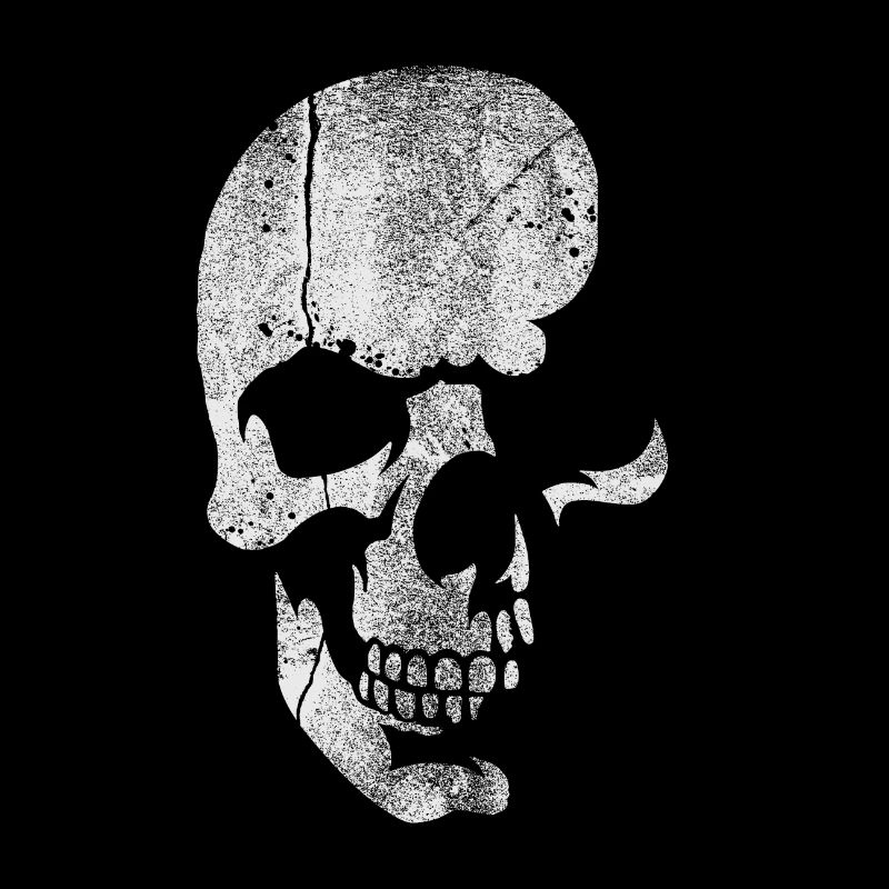 Totenkopf 1