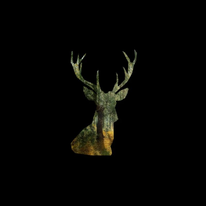 Hirsch