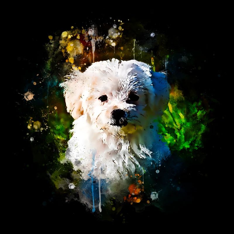 gxp malteser hund wasserfarbe spritzer