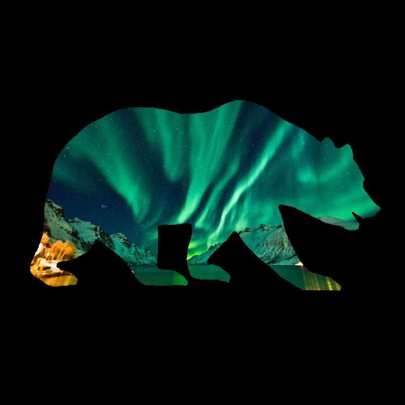 Eisbär Polarlichter