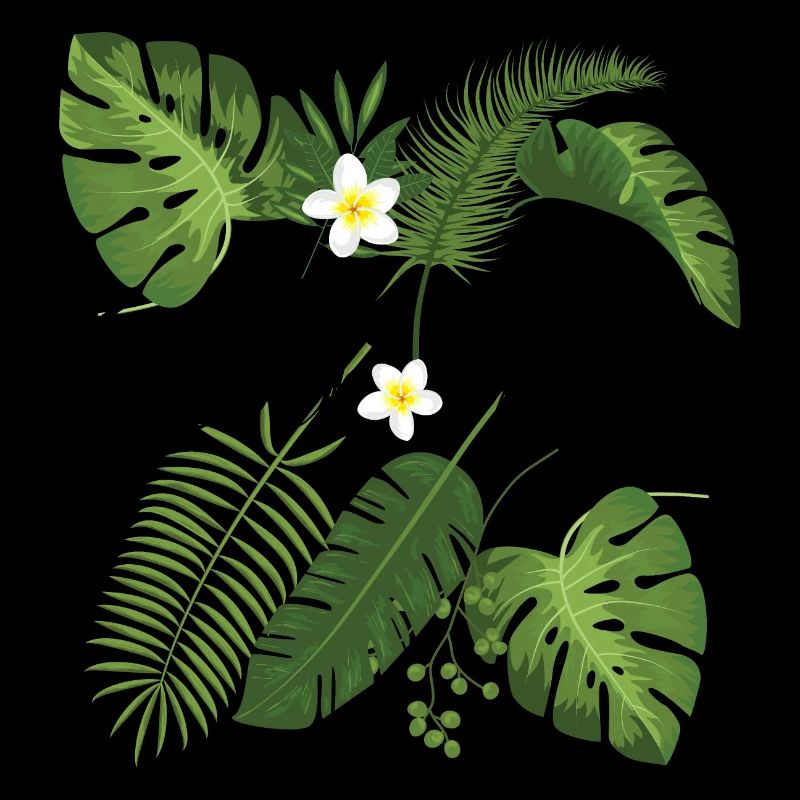 Summertime Spring springtime