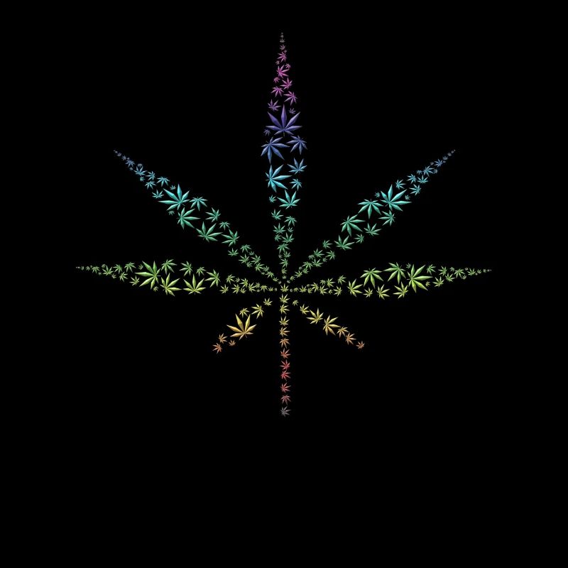 Cannabis Hanf