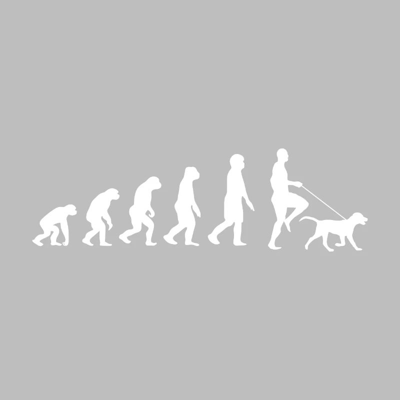Labrador Evolution