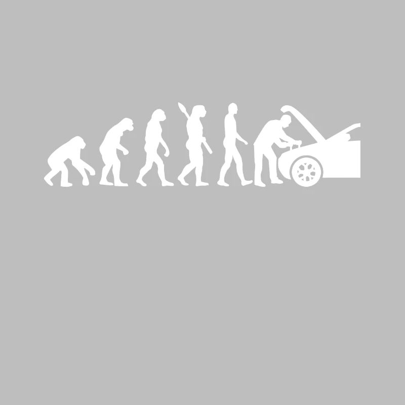 Mechatroniker Evolution