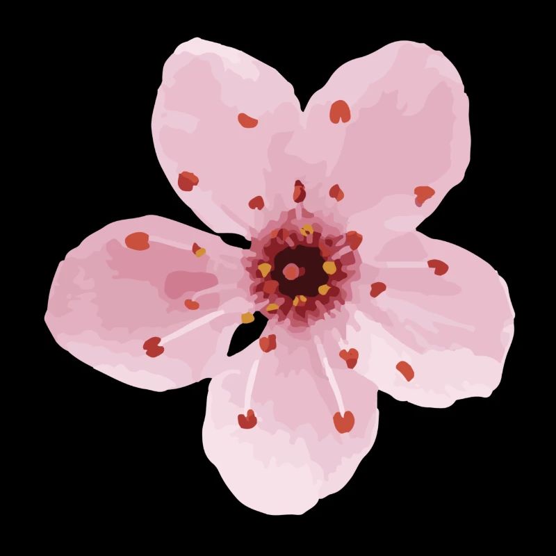 cherry blossom