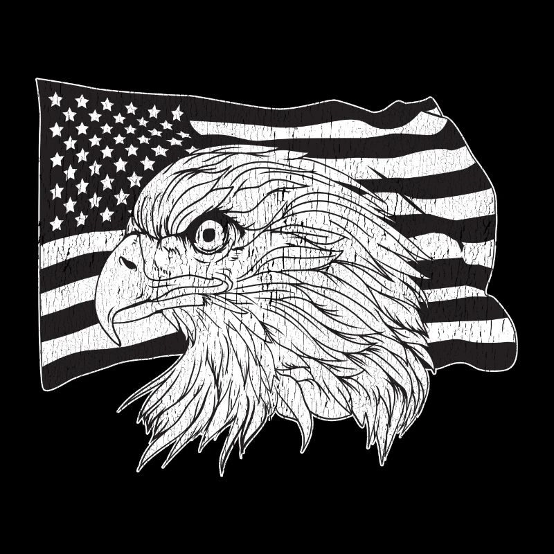 American Flag with American Eagle