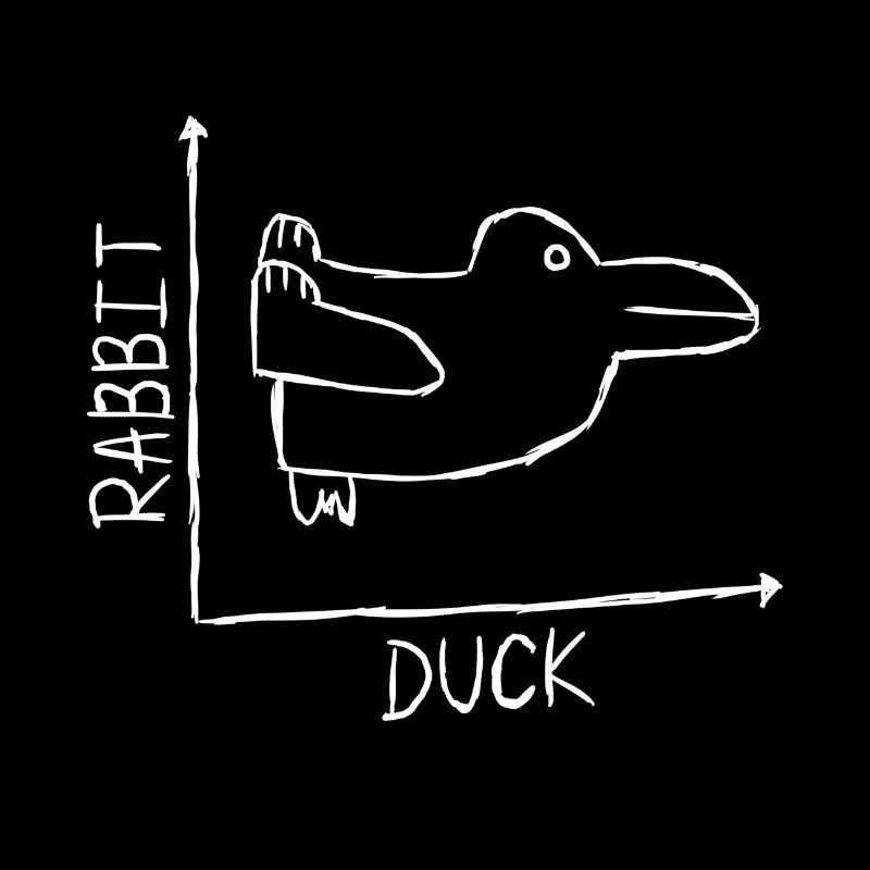 Rabbit Duck