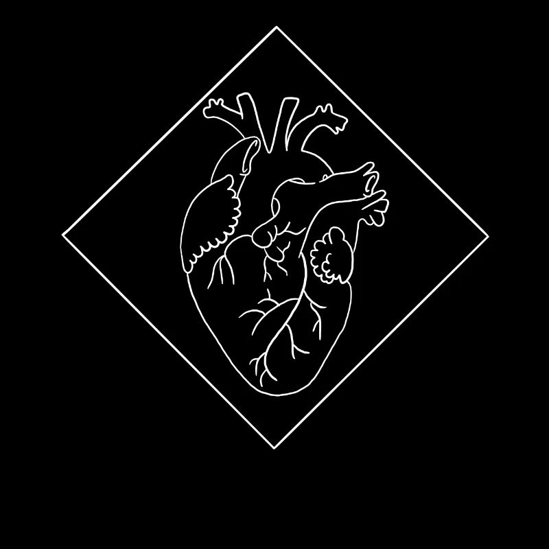 Heart geometry
