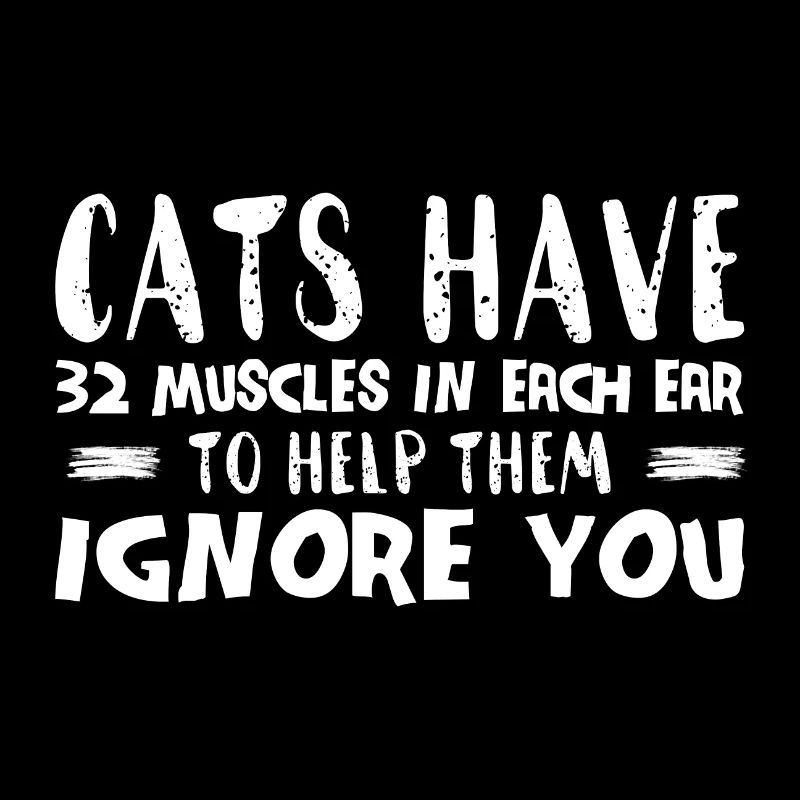 Chats disant cadeau anatomie