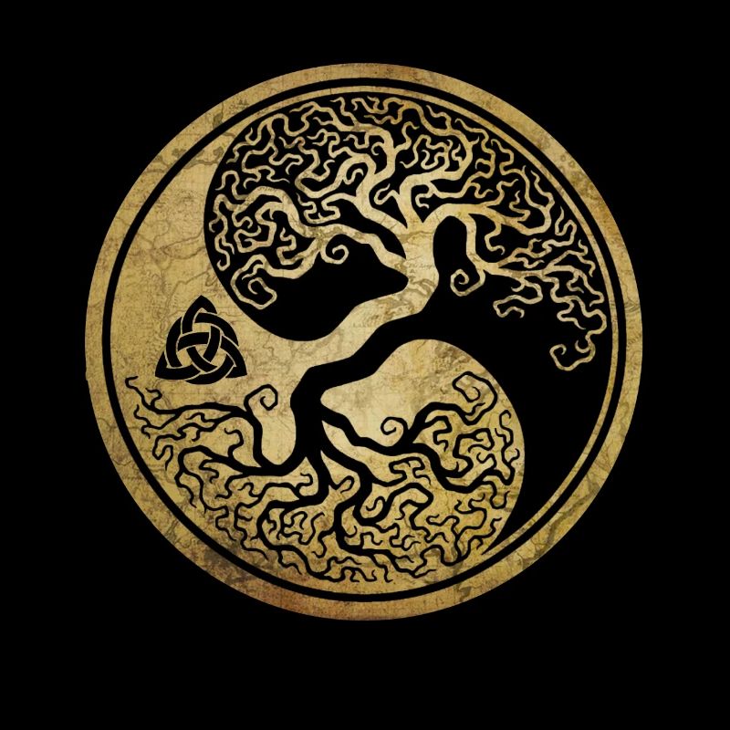 Wikinger Viking Valhalla Odin Thor Nordmann Skal