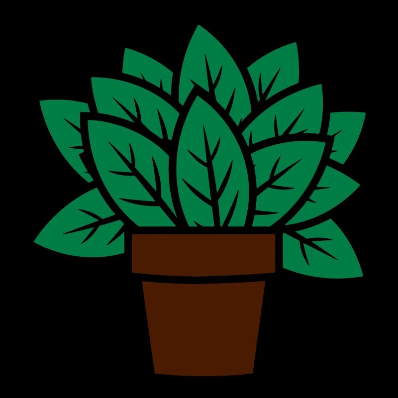 Pflanze Geschenkidee plant gift idea